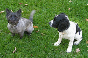 Danny & Friend