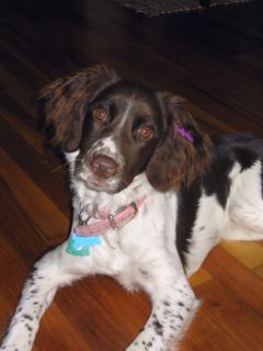 Josie