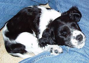 Finney