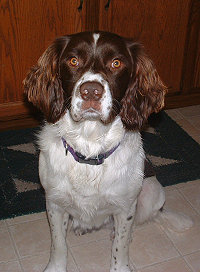 Zeke