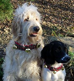 Mel & Friend