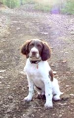 Skye