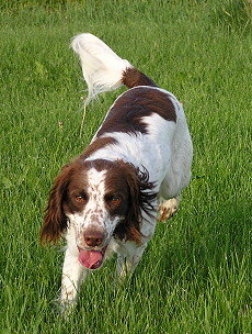 Abbey