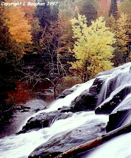 Bond Falls