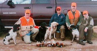 Dodger and Friends