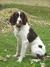 Jake
